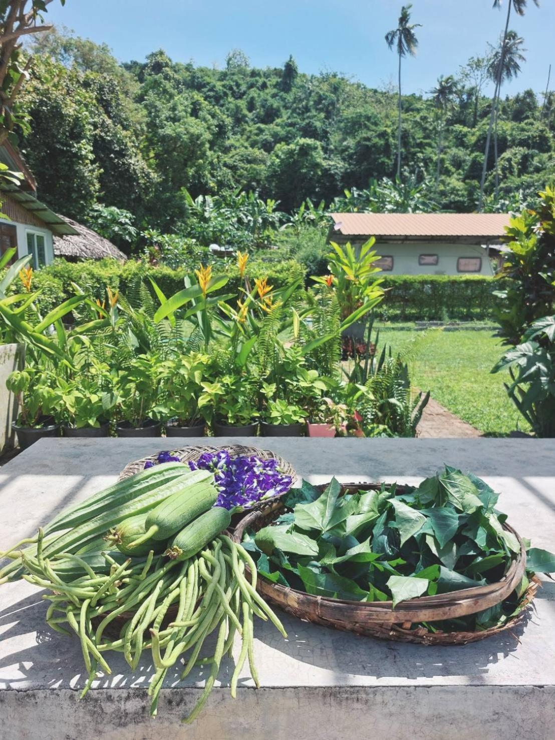 Samui Camping Farm Laem Sor Exterior foto